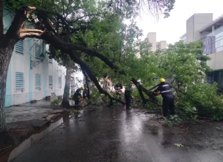 El sistema de Emergencias 105 registró seis incidentes durante la tormenta