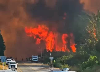 Incendios en la Patagonia ya dejaron un muerto y más de 2.700 hectáreas arrasadas