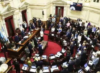 El Senado sancionó la ley que suspende las PASO para este año
