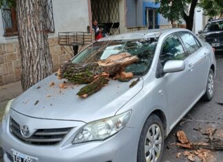Una rama cayó sobre un auto en General Güemes al 1300