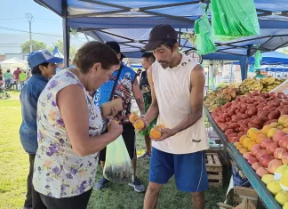 El mercado en tu barrio se realizará en la zona norte de la ciudad