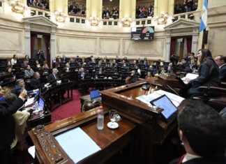 El Senado define si aprueban Ficha Limpia