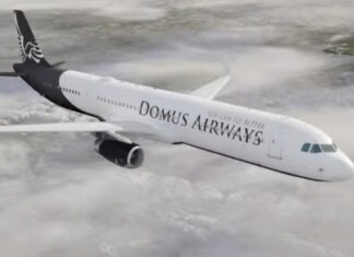 El Gobierno autorizó a una nueva aerolínea para operar