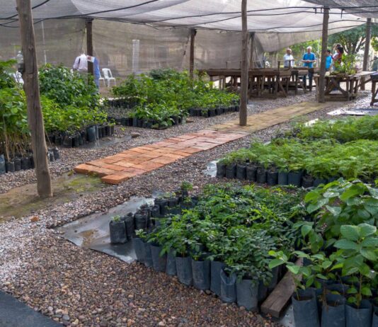 Inauguraron en General Güemes el Vivero municipal