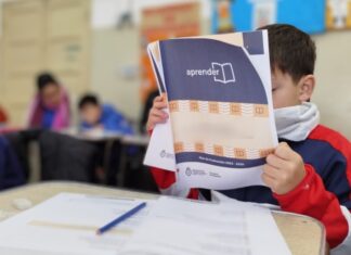 El 45% de los alumnos de tercer grado alcanza el nivel esperado en lectura en las pruebas Aprender