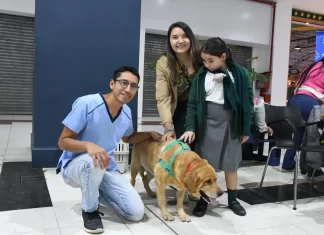 Este domingo habrá una nueva jornada de adopción en el Alto Noa Shopping