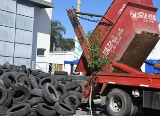 Con éxito se realizó una nueva edición del Neumatón
