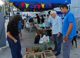 Vuelve el Eco Canje: vecinos podrán intercambiar residuos reciclables por plantas y regalos