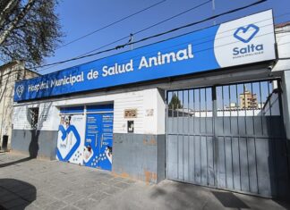 Así funcionarán los servicios municipales durante los feriados por Güemes