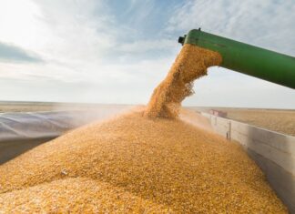 Oficializaron la baja de retenciones de granos y carne