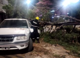 Nuevamente El Zonda provocó destrozos y voladuras de techos en Salta