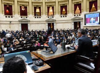 En una sesión maratónica en Diputados rechazaron el veto de la Ley de Emergencia en Discapacidad