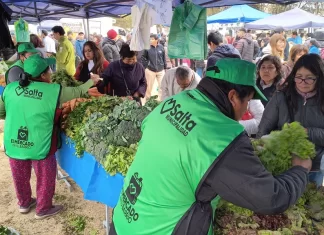 “El Mercado en tu Barrio” llega a Ciudad del Milagro con descuentos de hasta el 30%