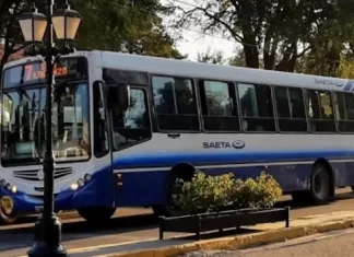 Este domingo será gratuito el pasaje en colectivos