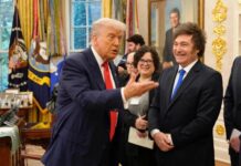 Donald Trump felicitó a Javier Milei por la victoria en las elecciones