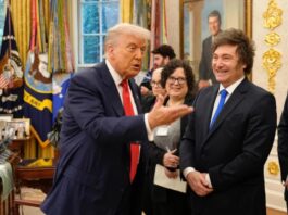 Donald Trump felicitó a Javier Milei por la victoria en las elecciones