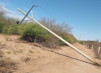 Vandalizaron postes de media tensión en el norte provincial