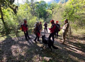 Mas de 100 efectivos trabajan en la busqueda del ex comisario Vicente Cordeyro