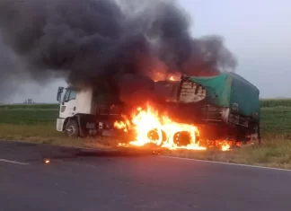 Se incendió un camión cargado de bananas en Embarcación