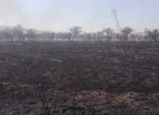 El municipio intervino en distintos incendios forestales registrados hoy