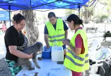 Habrá vacunación antirrábica en Lavalle, Palmeritas y San Benito el próximo lunes