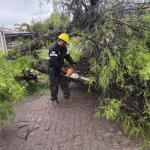 La Municipalidad intervino en 46 incidentes causados por la lluvia y el viento