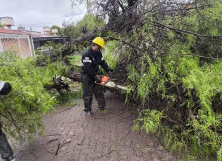 La Municipalidad intervino en 46 incidentes causados por la lluvia y el viento