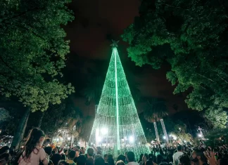Fue encendido el tradicional arbolito navideño en la plaza 9 de Julio