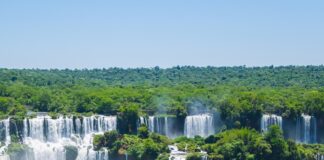 Argentina será sede por primera vez del Congreso Mundial de Guardaparques en 2027