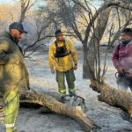 Realizaron relevamientos en zonas afectadas por los incendios en Cafayate