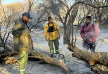 Realizaron relevamientos en zonas afectadas por los incendios en Cafayate