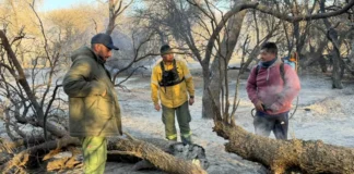 Realizaron relevamientos en zonas afectadas por los incendios en Cafayate