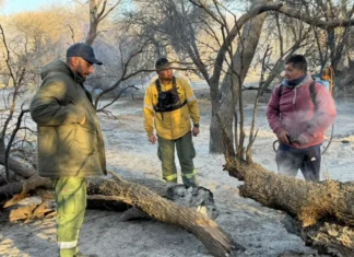 Realizaron relevamientos en zonas afectadas por los incendios en Cafayate