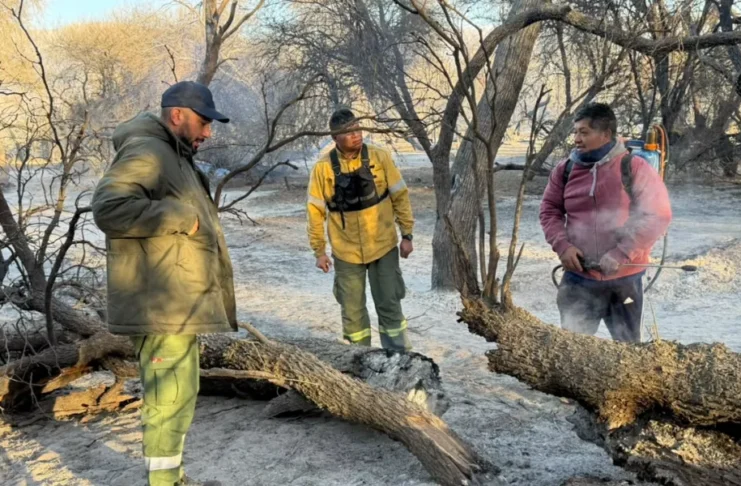 Realizaron relevamientos en zonas afectadas por los incendios en Cafayate