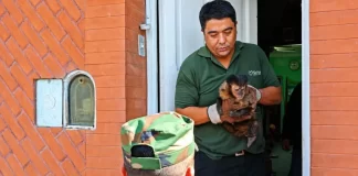 Rescataron un mono caí que se encontraba en cautiverio