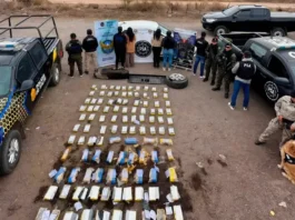 Policía de Salta secuestró más de 190 kilos de cocaína