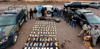 Policía de Salta secuestró más de 190 kilos de cocaína