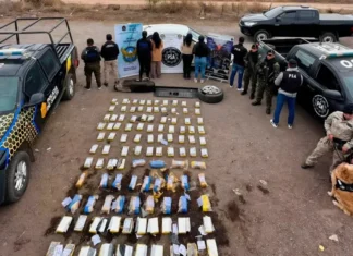 Policía de Salta secuestró más de 190 kilos de cocaína