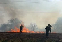 Alerta amarilla por fuertes vientos e incendios de pastizales en Salta