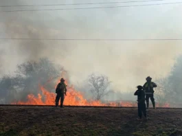Por las altas temperaturas, rige un alerta por incendios forestales para este jueves