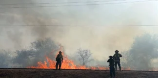 Alerta amarilla por fuertes vientos e incendios de pastizales en Salta