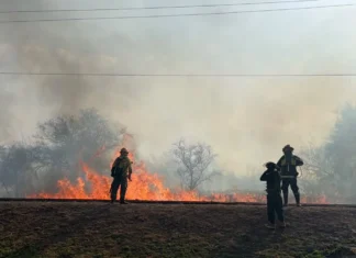Alerta amarilla por fuertes vientos e incendios de pastizales en Salta