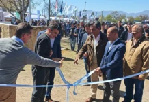 Hasta el domingo estará abierta la 82º edición de la Expo Rural Salta