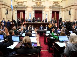 El Senado aprobó la ley de propiedad privada, pero el Gobierno debió ceder en la reforma del Fuego