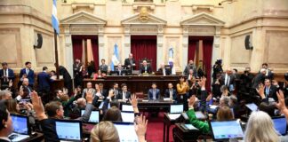 El Senado aprobó la ley de propiedad privada, pero el Gobierno debió ceder en la reforma del Fuego
