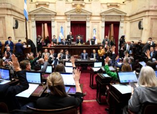 El Senado aprobó la ley de propiedad privada, pero el Gobierno debió ceder en la reforma del Fuego