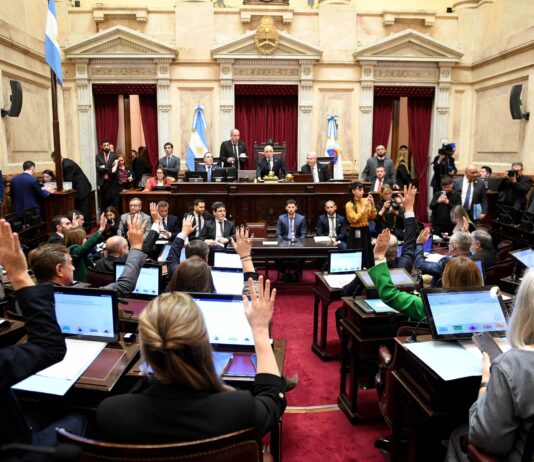 El Senado aprobó la ley de propiedad privada, pero el Gobierno debió ceder en la reforma del Fuego