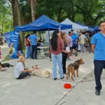 “La Muni Animal” llega a Tres Cerritos con servicios gratuitos