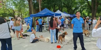 “La Muni Animal” llega a Tres Cerritos con servicios gratuitos