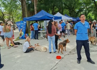 “La Muni Animal” llega a Tres Cerritos con servicios gratuitos